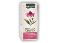 Tinktura Echinacea purpurea 100ml třapatka nachová