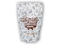 Welness Whey Protein 480g