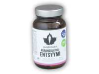Digestive Enzymes 60 kapslí