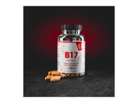 B17 Pure Therapy 100 kapslí