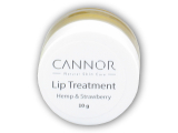 Intenzivní balzám na rty lip treatment 10g