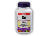 Vitamin B6 100 mg 90 tablet