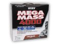 Giant Mega Mass 4000 7000g