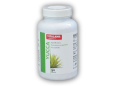 Vitaland Yucca 90 kapslí