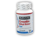 Creatin Ethyl Ester Fair Power 90 kapslí