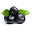příchut acai berry