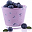 příchut blueberry-yogurt